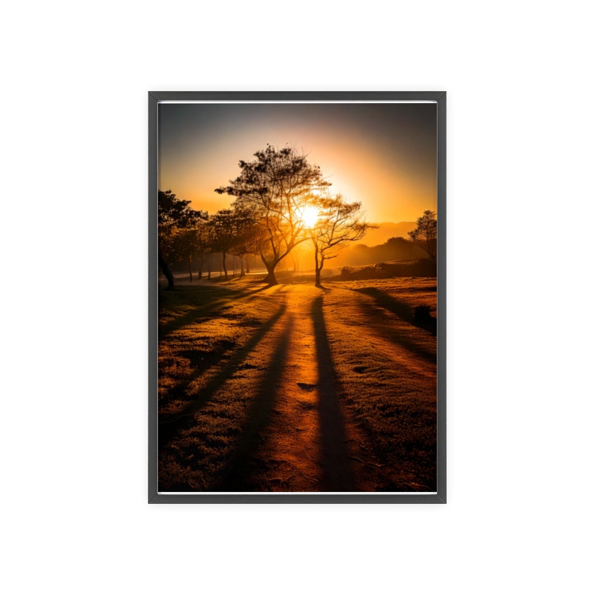 Sunrise Forest Poster — Framed Wooden Wall Art (Sunlit Trees)