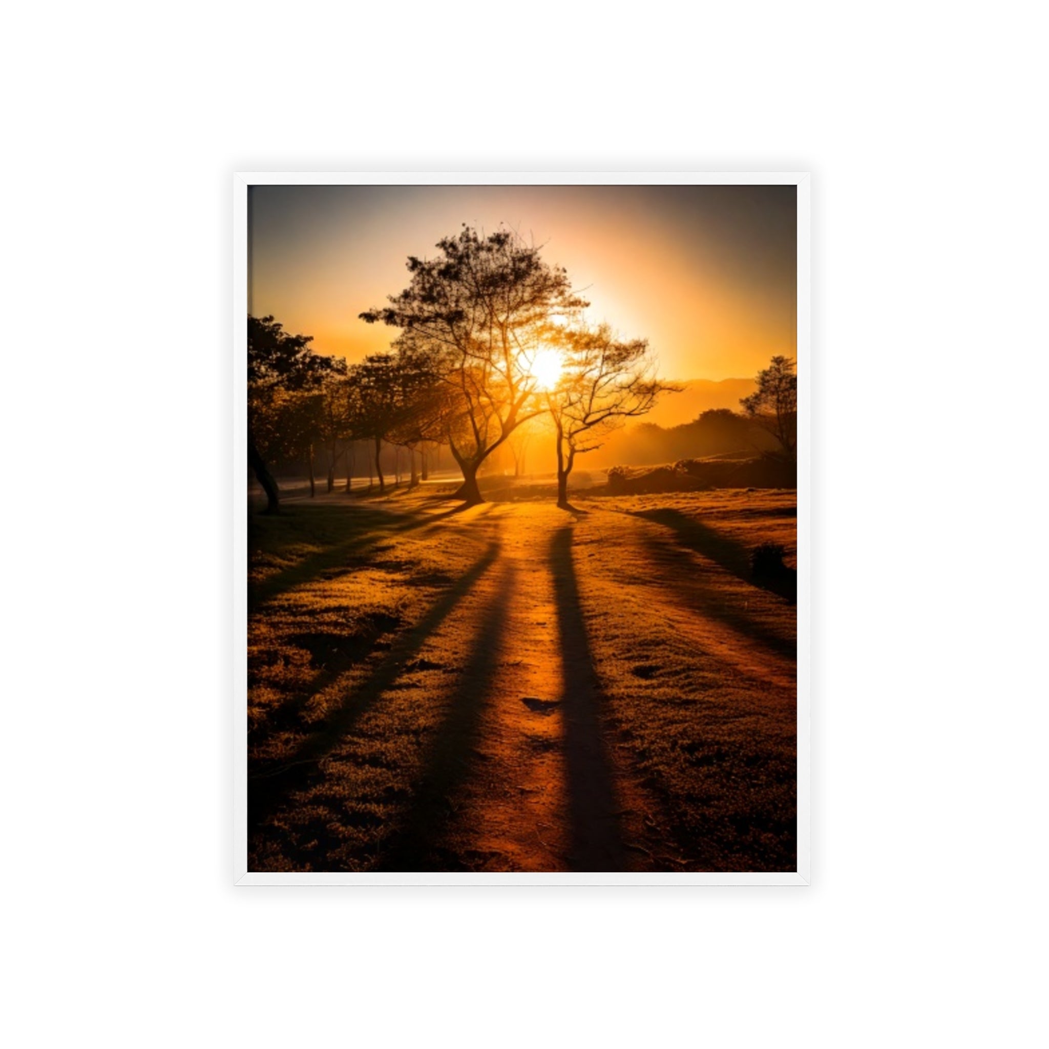 Sunrise Forest Poster — Framed Wooden Wall Art (Sunlit Trees)