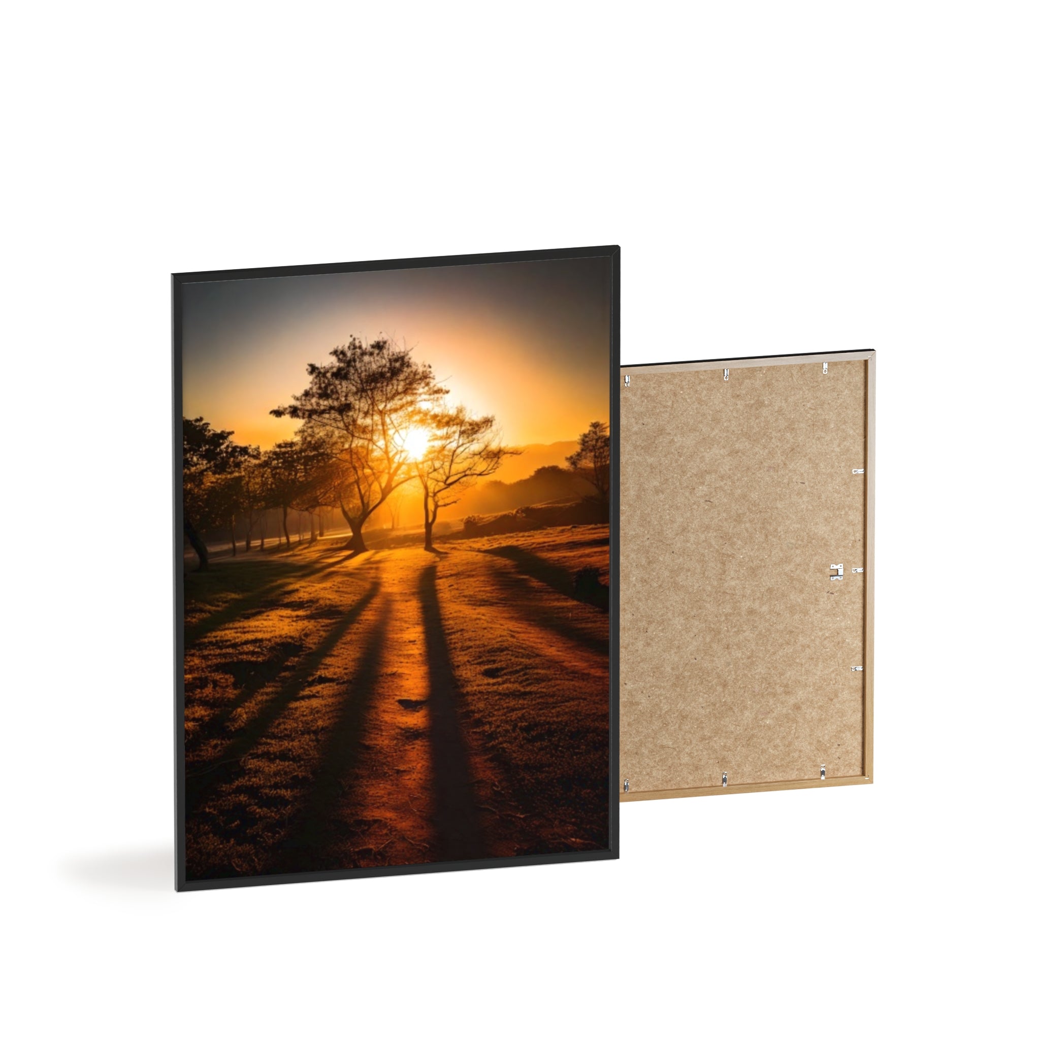 Sunrise Forest Poster — Framed Wooden Wall Art (Sunlit Trees)