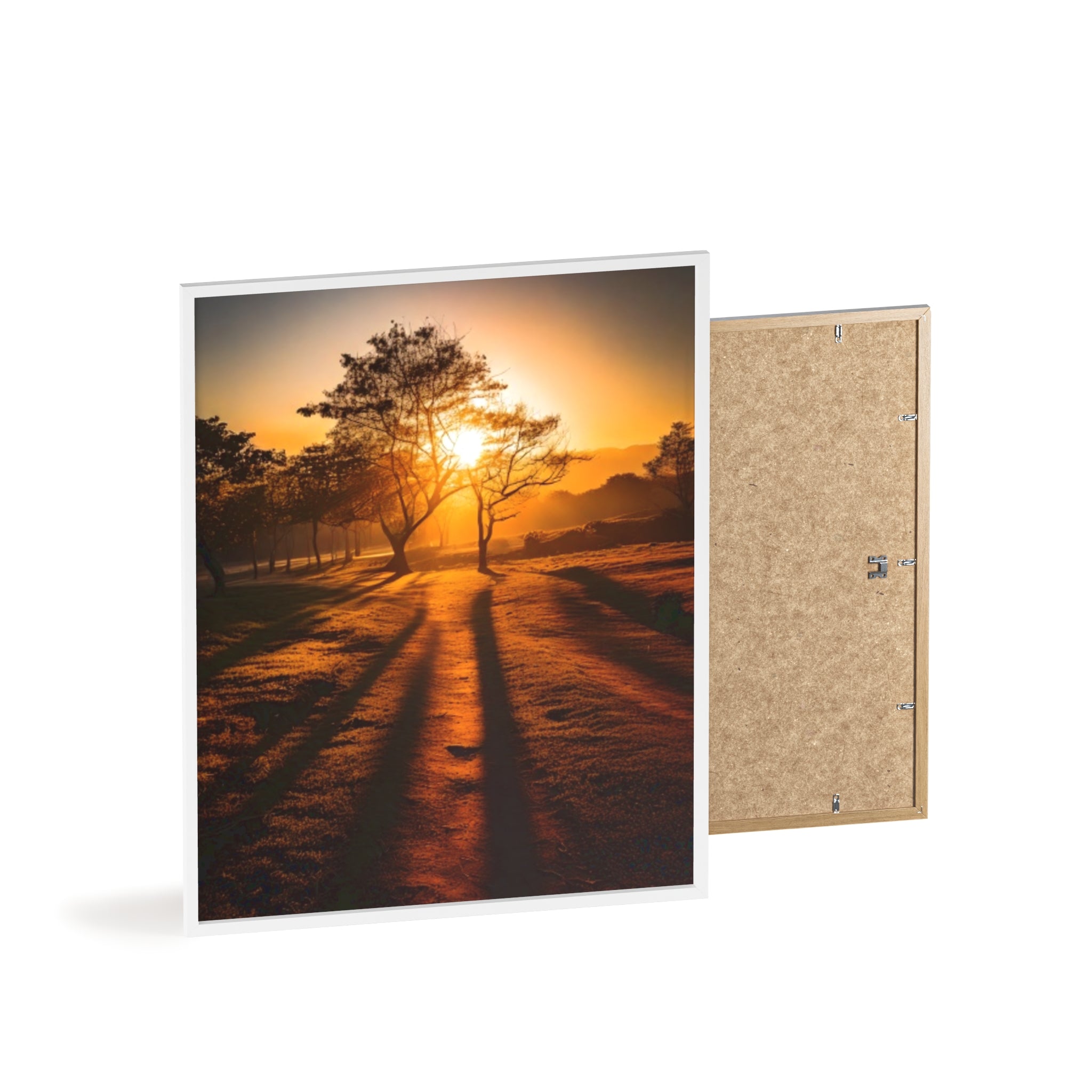 Sunrise Forest Poster — Framed Wooden Wall Art (Sunlit Trees)