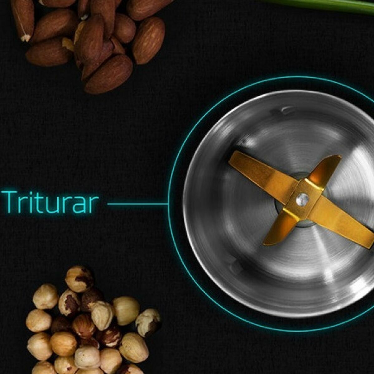 Electric Grinder Cecotec TitanMill 300 DuoClean Stainless steel 300 W-4