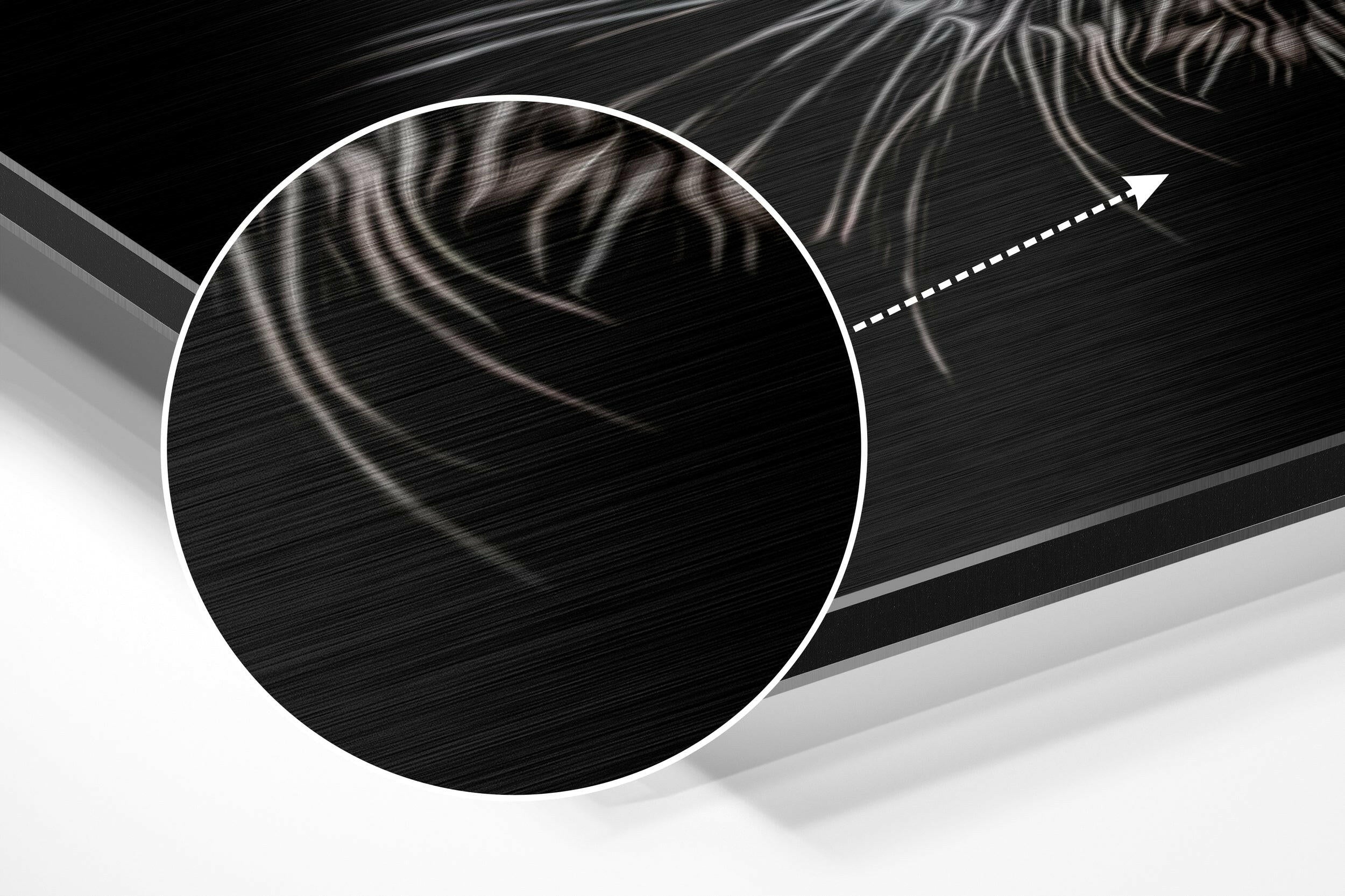 Black Panther Brushed Aluminium Dibond Wall Art