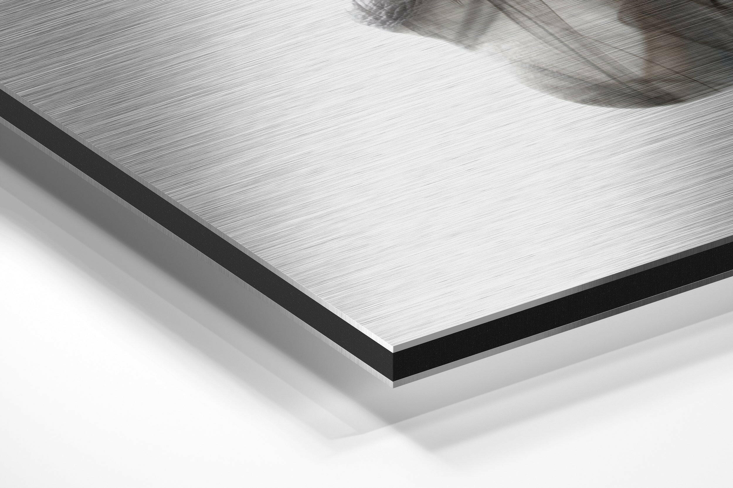 Smoked Face Brushed Aluminium Dibond Wall Art-1