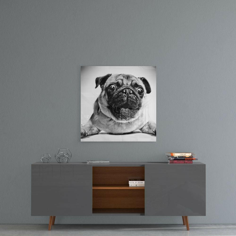 Pug Glass Wall Art-3