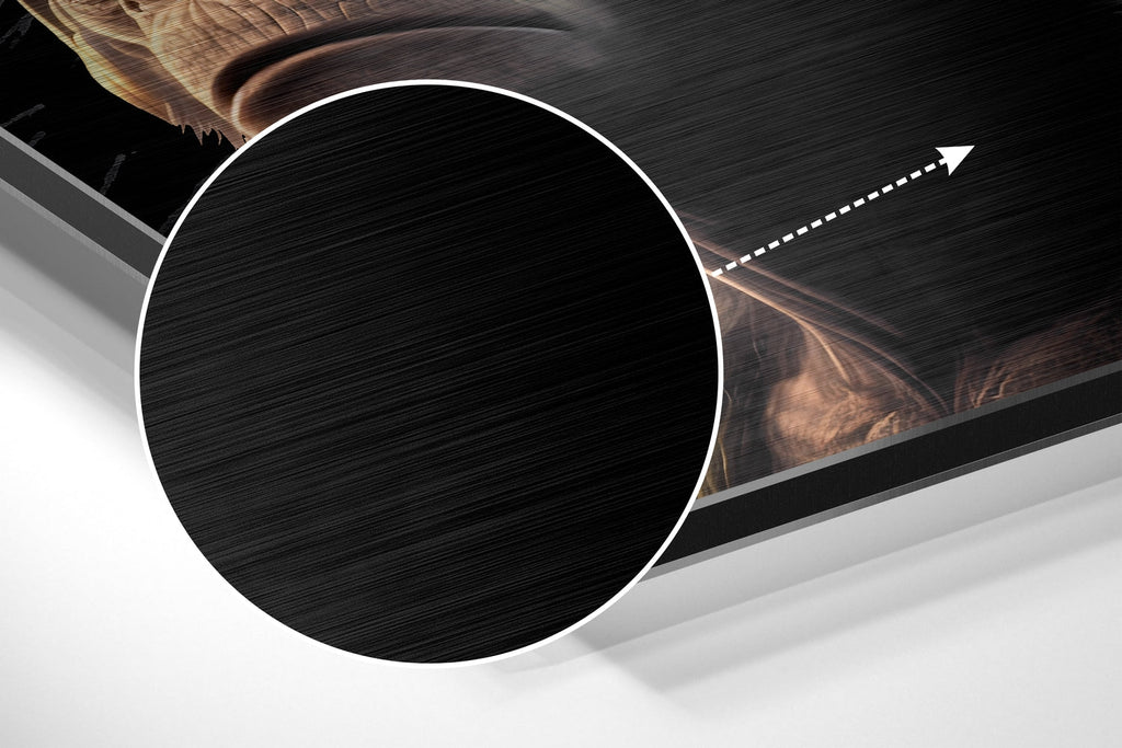 3 Wise Monkeys Brushed Aluminum Dibond Wall Art-2