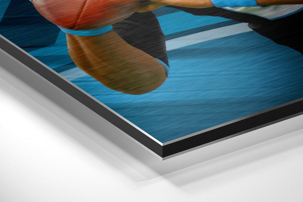 Carolina Panthers Brushed Aluminium Dibond Wall Art-1