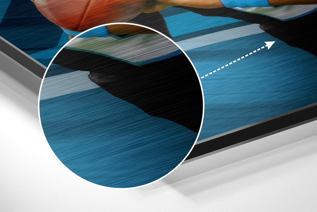 Carolina Panthers Brushed Aluminium Dibond Wall Art-2